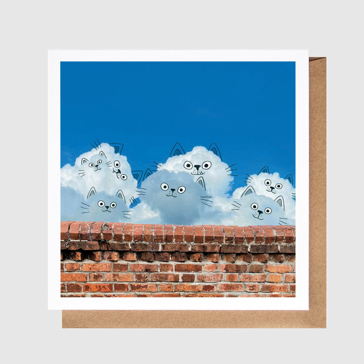 Cat Wall - A Daily Cloud Greeting Card