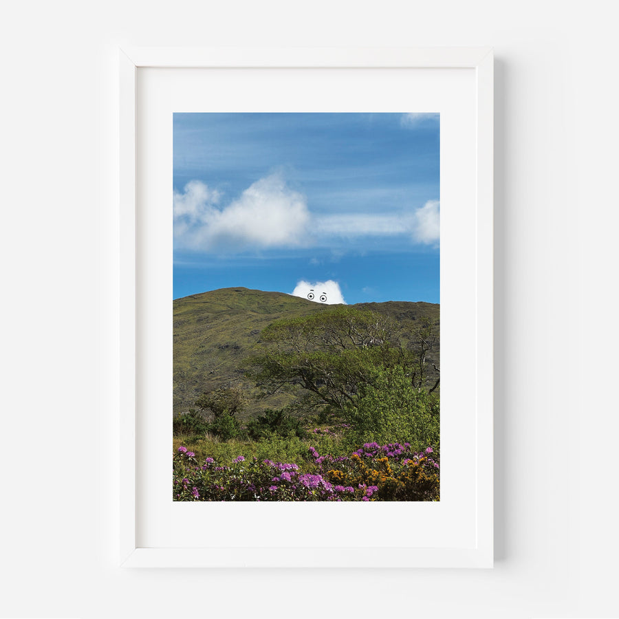 Photograph of a mountain landscape with greenery and purple flowers.