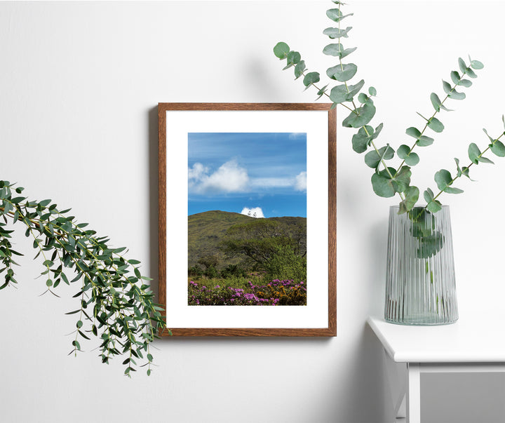 Signed “Peekaboo” Unframed Print by A Daily Cloud.