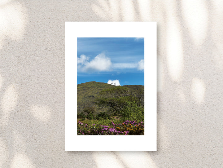 Signed “Peekaboo” Unframed Print by A Daily Cloud.